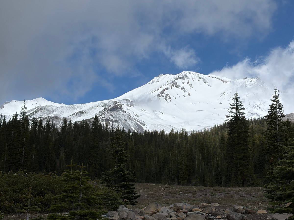 Mount Shasta